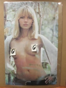 Vintage Poster  1971 Hot Girl  Inv#557 - Picture 1 of 5