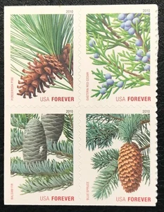 2010 #4478-4481, Forever, EVERGREENS - Mint NH - Block of 4 Booklet Stamps - Picture 1 of 1