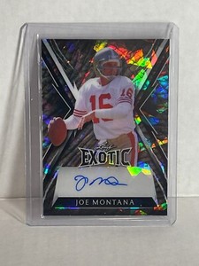 2023 leaf exotic joe montana auto /8 49ers