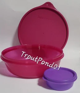 Ensaladera modular Tupperware Deluxe 4 c + plato de aderezo púrpura de 2 oz + - Imagen 1 de 2
