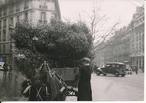 PARIS c. 1935 - Marchands de Gui à Noël - P 2850 - Imagen 1 de 2
