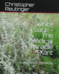 WHITE SAGE-MEDICAL MIRACLE PLANT-ANTI-VIRAL-ANTI-BACTERIAL-CURES MOST EVERYTHING - Picture 1 of 2