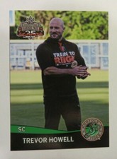 2017 Choice, Norfolk Tides - Strength Coach - TREVOR HOWELL