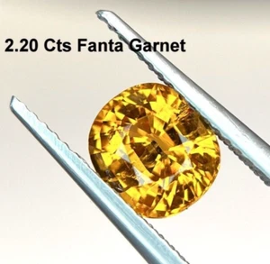 Granato Fanta Naturale Gemma, Granato Fanta Sciolto, Granato Forma Ovale 2,20 Ct - Foto 1 di 4