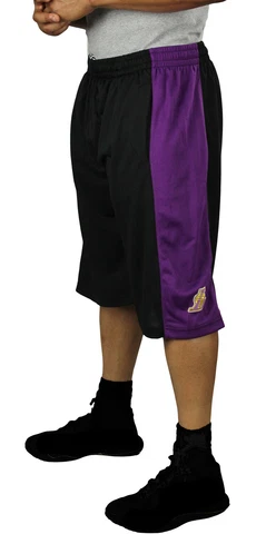 Zipway NBA Men's Los Angeles Lakers Mesh Basketball Shorts - Black Cover