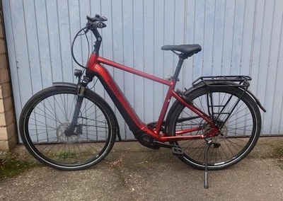 Pegasus Premio EVO 10 Lite Trekking E-Bike Top Bosch Performance Line CX 85Nm - Bild 1 von 4