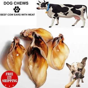 Small Size Cow / Calf Buffalo Ears for Dog with Meat 100% Natural Dog Treat Chew - Picture 1 of 1