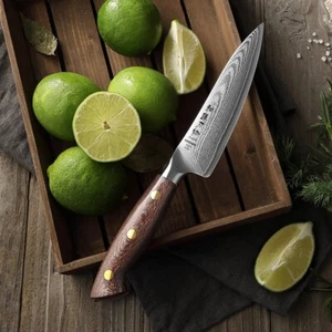 Damastmesser, Allzweckmesser, Küchenmesser, Damaszener, Hezhen, Micarta Griff - Bild 1 von 8