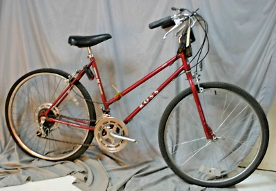 1980 Ross Hi-Tech Cruiser Fahrrad 20" groß Retro 10 Gang rot Stahl USA Versender - Bild 1 von 4