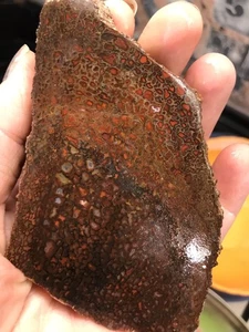 Nice Gembone Dinosaur Bone Slab 142 Grams - Picture 1 of 6