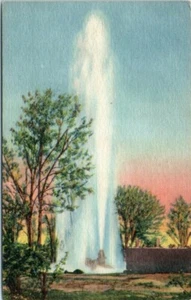 1960s New Mexico Postcard Larges Artesian Well Roswell NM Las Cruces Postmark - Picture 1 of 2