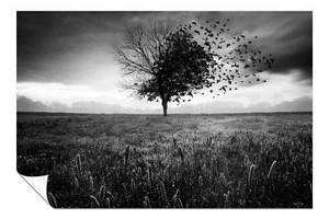 Black & White Lonely Tree Black Birds Artistic Poster Wall Art Home Decor - Picture 1 of 4