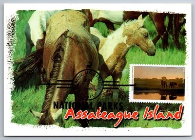 #5080F Assateague Island National Seashore FDC Maxi Card w/ National Park Cancel - Image 1 of 2