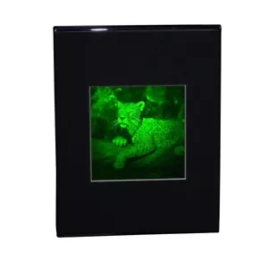 Imagen holograma 3D JAGUAR 2 canales (soporte de escritorio), tipo fotopolímero coleccionable - Imagen 1 de 7