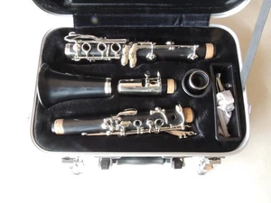 Buffet Crampon Prodige Bb Student Clarinet Fine Condition - Picture 1 of 24