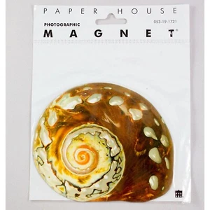 Photographic Seashell Magnet By Paper House Productions 001 - Picture 1 of 2