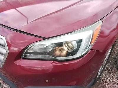 Driver Headlight Halogen With Fog Lamps Fits 15-17 LEGACY 3051077 - Image 1 of 4