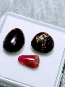 Rubin 3 Stück 10,4 ct Rubin cabochons aus Myanmar Edelsteine Nr. 6 - Imagen 1 de 3