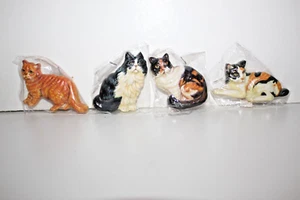Paquete de 4 imanes divertidos para refrigerador Cat - Imagen 1 de 4