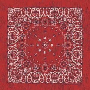Carolina Creative Bandanna (Red/Indigo) Rustic Paisley 27" x 27" - Picture 1 of 1