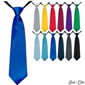 Boys Tie 35 Cm Adjustable Pre-Tied Silk Look Communion Wedding Celebration - Picture 1 of 13