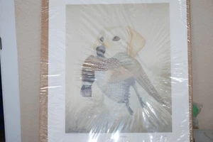 Yellow Lab Puppy Signed Prints- one with pheasant the other with a duck-Numbered - Picture 1 of 4