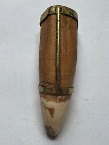 393- Tooth, Crocodile’s Tooth - Picture 1 of 8