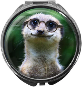 metALUm Pillendose mit Spiegel / rund / Metall, ERDMÄNNCHEN #1012