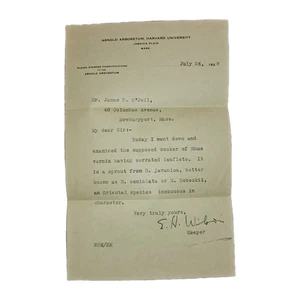 1928 Harvard Arboretum Brief signiert vom Botaniker Ernest H. Wilson + Bio - Bild 1 von 2