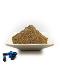 7 Mushrooms Blend Organic (Lion's Mane, Reishi,Chaga, Shiitake) 500mg CAPSULES - Picture 1 of 1