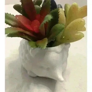Prickles the Hedgehog Planter Decor Kikkerland Succulent Art Pottery - Picture 1 of 14
