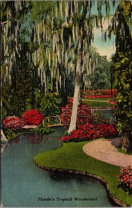 Postal PUENTE RÚSTICO Jardines de Ciprés FLORIDA lino c1955 - Imagen 1 de 2