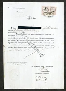 Attestato Esame Economia Politica della Statistica - Università di Padova - 1862 - Picture 1 of 1