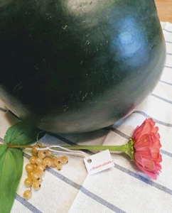 50 Bio Zucker Baby Wassermelone Samen - Citrullus lanatus Erbstück süße Früchte - Bild 1 von 3