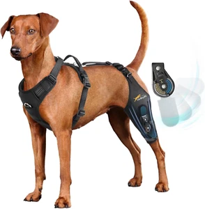 Dog Knee Brace for Torn Acl Hind Leg with Adjustable Hinge Stabilizer, Dog Back - Picture 1 of 7