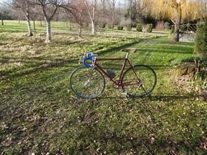 Mercier F1 Fahrrad mit Shimano AX 600 - Bild 1 von 23
