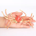 Crab Shaped Ornament Realistic Sea Creature Model Decorations