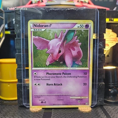 Nidoran M Triumphant Pokémon TCG 70/102 HeartGold & SoulSilver Common - Image 1 of 4