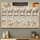 The Growth And Maturity Of White-tailed Deer,Deer Paper Printed Deer Posters, F3