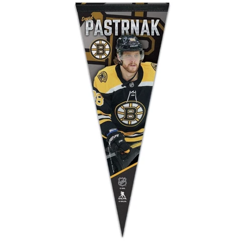 DAVID PASTRNAK BOSTON BRUINS PREMIUM QUALITY PENNANT 12"X30" BANNER NHL Cover