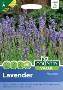 Lavender Seeds Munstead Country Value FREE UK DELIVERY Aromatic Flowers & Leaves - Picture 1 of 2