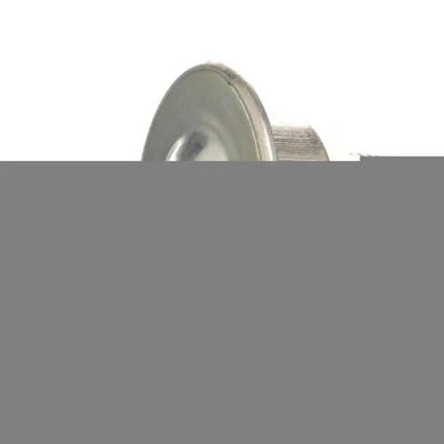 Secondary Air Injection Pump Check Valve Standard AV1 - Image 1 of 4