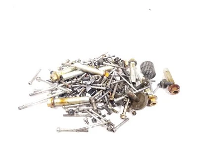 09 Yamaha XV1900 Stratoliner Roadliner Motor Varios Hardware Kit de Pernos ENORME Foto 1 de 4