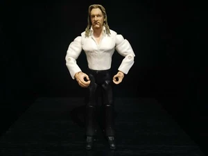 Triple H Figure (Ruthless Aggression, Jakks Pacific, 2005) WWE WWF HHH NXT - Picture 1 of 5