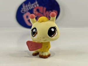 BEE #1708 - Authentic Littlest Pet Shop - Hasbro LPS - Picture 1 of 4