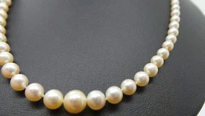 STUNNING 14K YG PEARL STRAND NECKLACE 18" LONG  BB56244-3  12.27 grams  - Picture 1 of 7