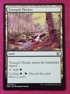 Magic The Gathering DUEL DECKS ELVES VS INVENTORS TRANQUIL THICKET land card MTG - Picture 1 of 2