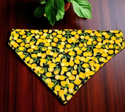 Bandana para perro con estampado de limón, sobre el cuello Bandana para perro Slide on Bandanna Limones Foto 1 de 4