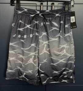 Jordan Big Boys Dri Fit Sky Fade Mesh Shorts - Size Large (12-13 years) - Picture 1 of 9