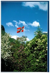 Beautiful Norway Postcard - Picture 1 of 2